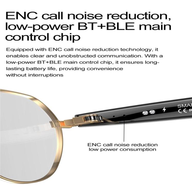 W100B Smart Glasses, Support AI Conversation / AI Intelligent Translation / Bluetooth Call